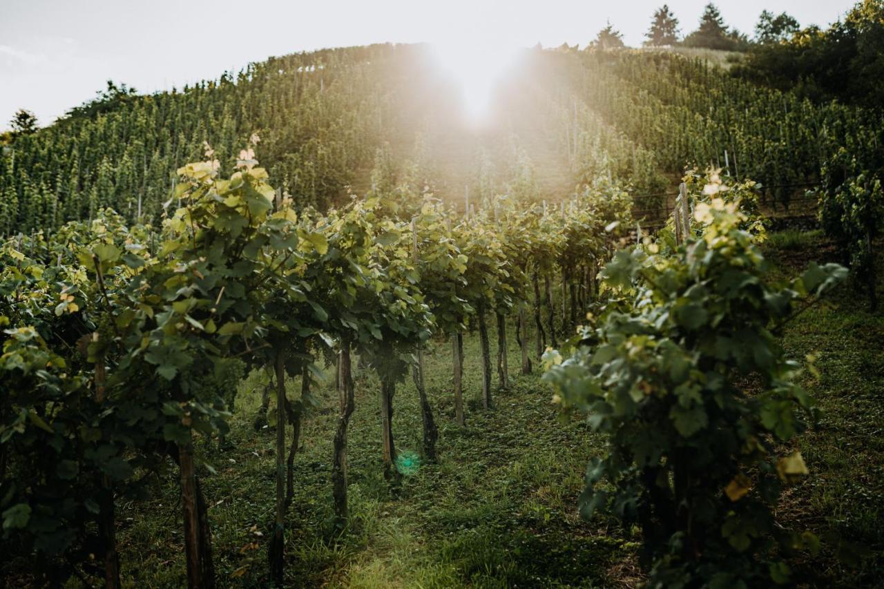 Weingut Meurer Apartman Reil Kültér fotó